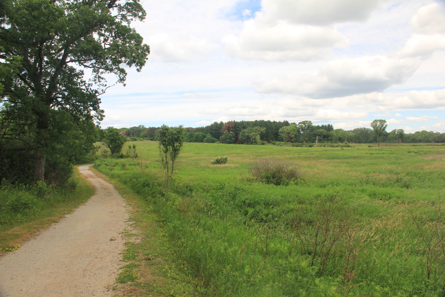 Badger Park Trail 